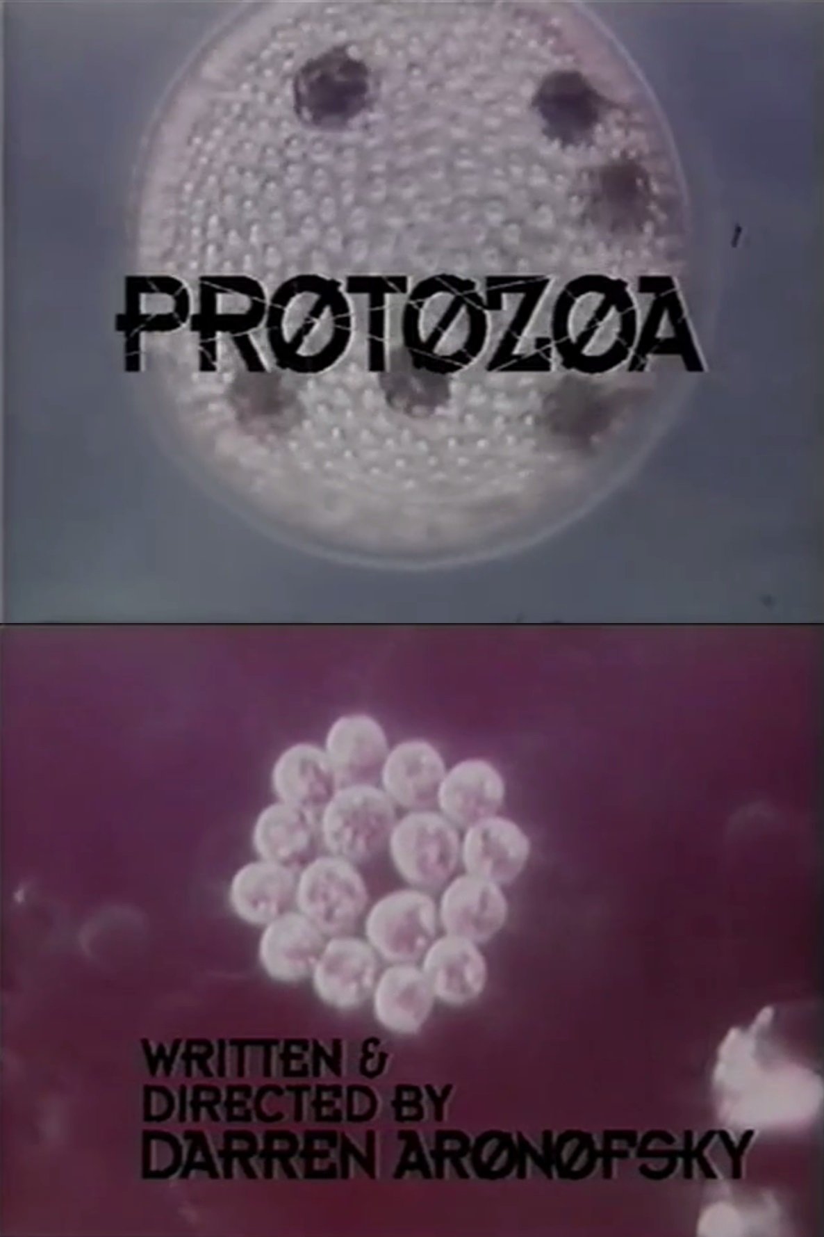 Постер Protozoa